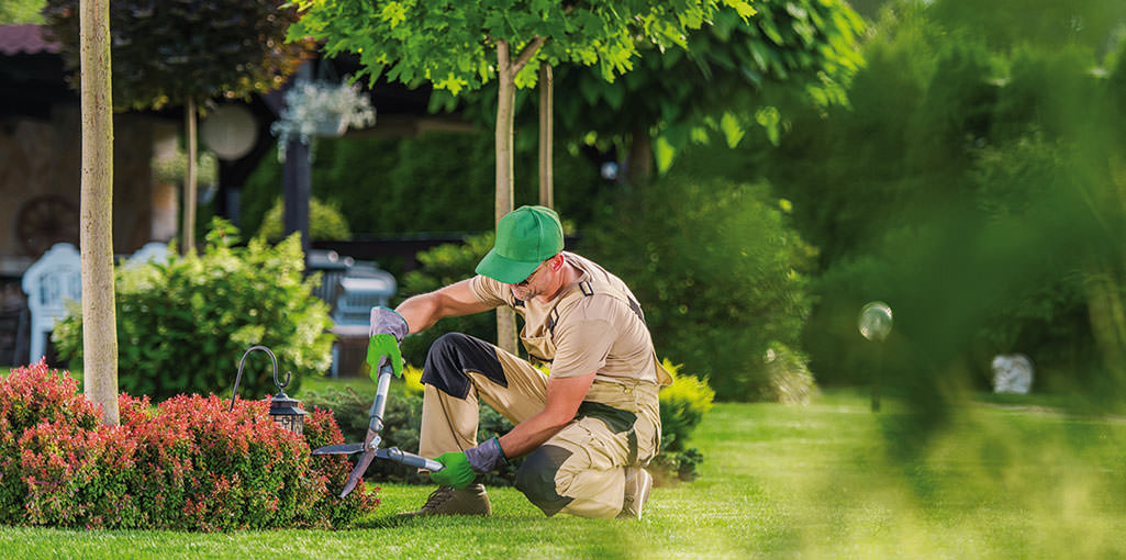 Landscaping